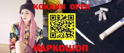 дмт Будённовск