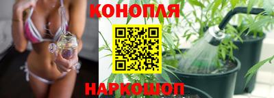дмт Будённовск