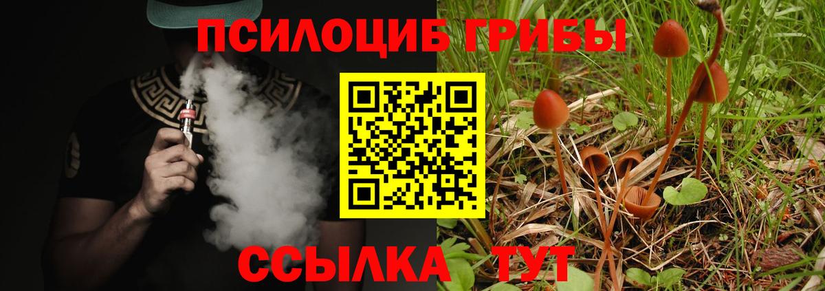 где продают   Галлюциногенные грибы Psilocybine cubensis  Вход с VPN  Псилоцибиновые грибы мухоморы  Югорск 